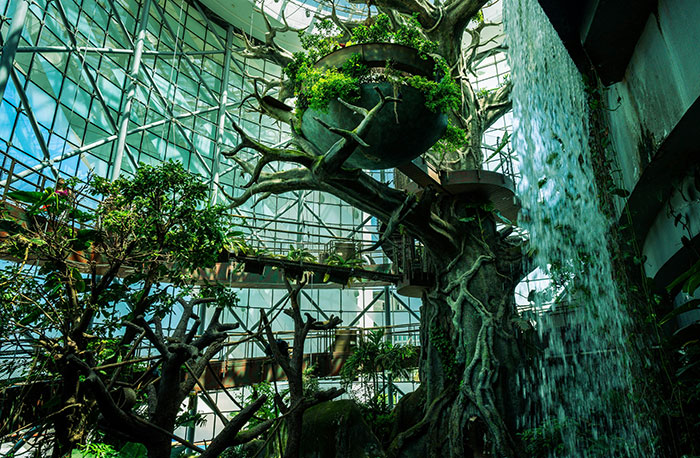 کف جنگل سیاره سبز، محل آکواریومها و زیستگاه نزدیک طوطی، خفاش، کروکودیل، سمندر و سوسمار است.