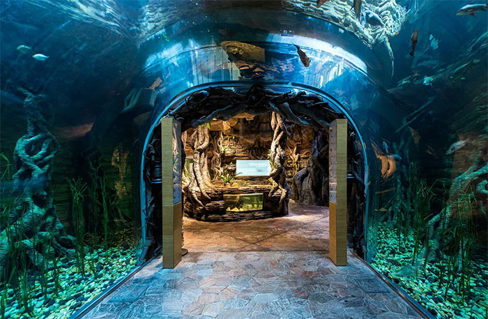 آکواریوم بزرگ سیاره سبز با شیشههای شفاف، زیست ماهیان، خزندگان و حشرات دریایی را نمایش میدهد.