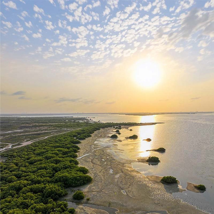 ساحل ام القوین، اگر خوش شانس باشید میتوانید هنگام حضور در این ساحل فلامینگوها و پرندگان وحشی را تماشا کنید.