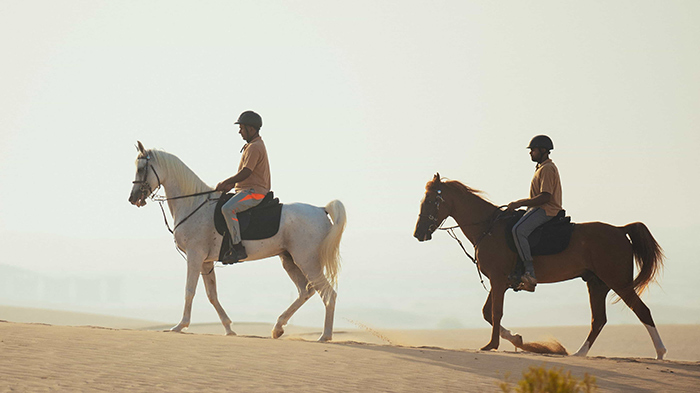 باشگاه سوارکاری الجیاد، یکی از محبوبترین باشگاه های دبی که در نزدیکی دریاچه زیبای الکوادرا قرار گرفته.