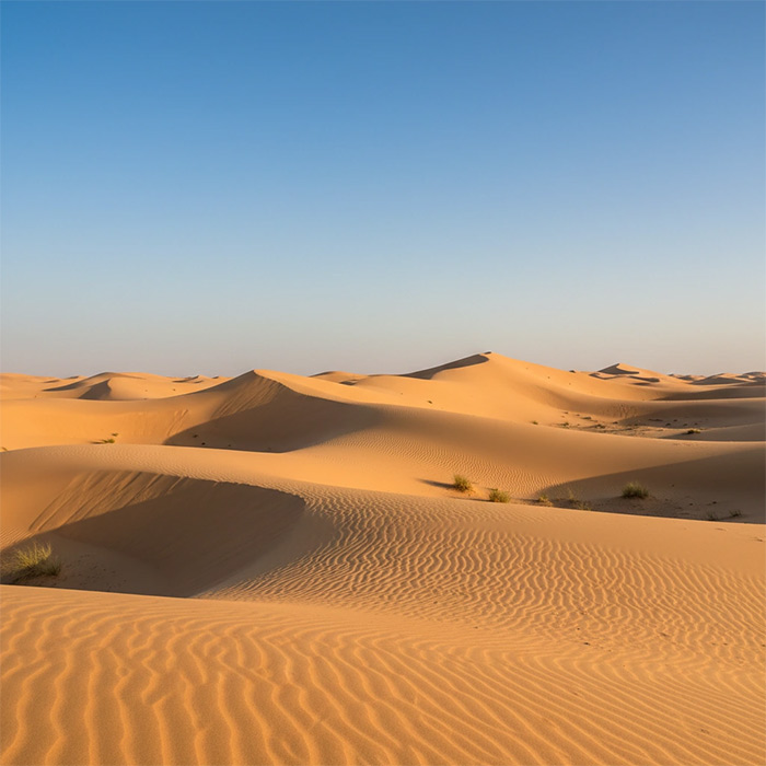 صحرای الذیذ، در مسیر سفر به این مکان میتوانید از پارک شارجه دیدن کنید و از مشاهده حیوانات خانگی در آنجا لذت ببرید.