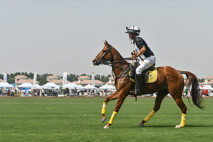 دبی، بهشت عاشقان اسب و سوارکاری است. باشگاه‌های سوارکاری در دبی، تجربه‌ای منحصر‌به‌فرد و آرام‌بخش در میان شهری لوکس و مدرن فراهم می‌کنند.