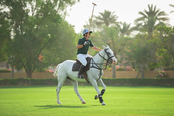 مرکز سوارکاری دزِرت پالم، درارای محیطی زیبا و آرامش بخش در میان بیابان دبی و درای اسب هایی بی نظیر و ویژه که از انگلستان تهیه شده اند.