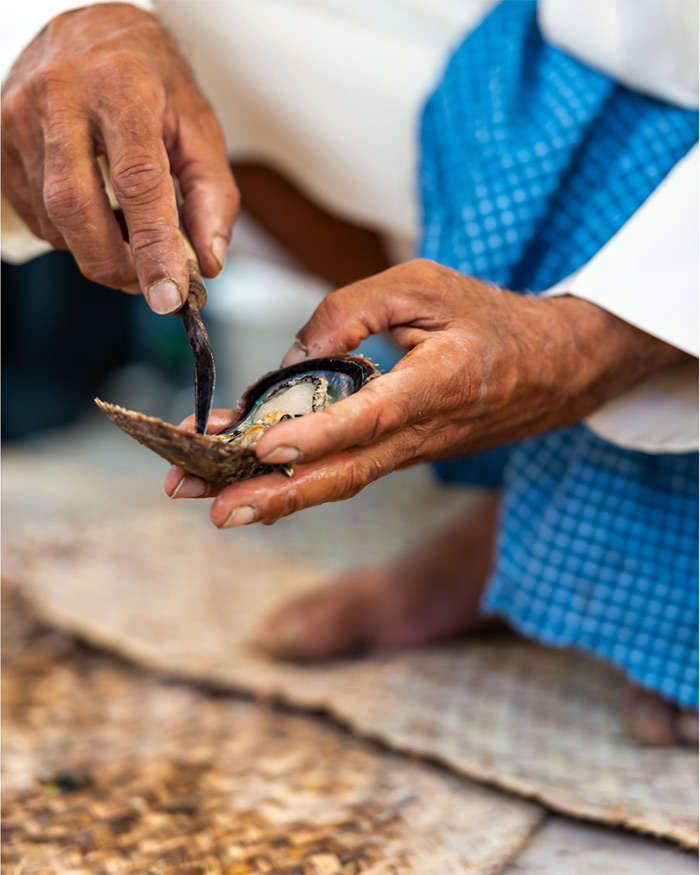 در دهکده میراث، روند سید مروارید که منبع درآمد مردمان دبی در گذشته بوده بازسازی شده است و نمایشی جذاب اجرا میشود.