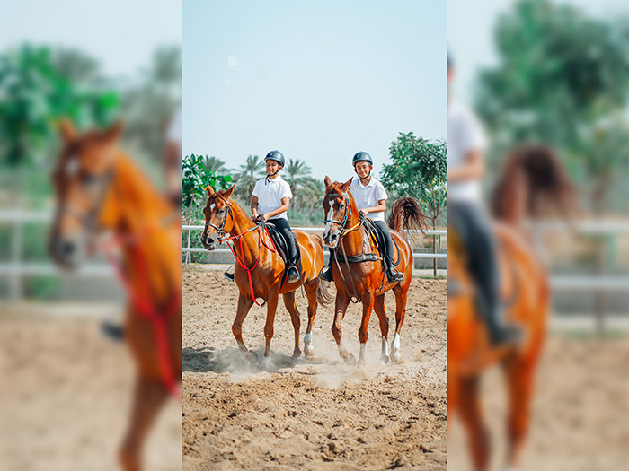 باشگاه اسب‌سواری وینرز، در نزدیکی پارک مشرف واقع شده و دارای فضایی سبز و مسیر سایه دار است.