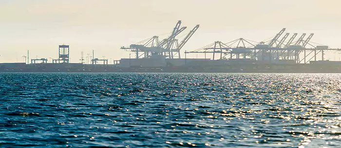 اهمیت بنادر امارات در تجارت