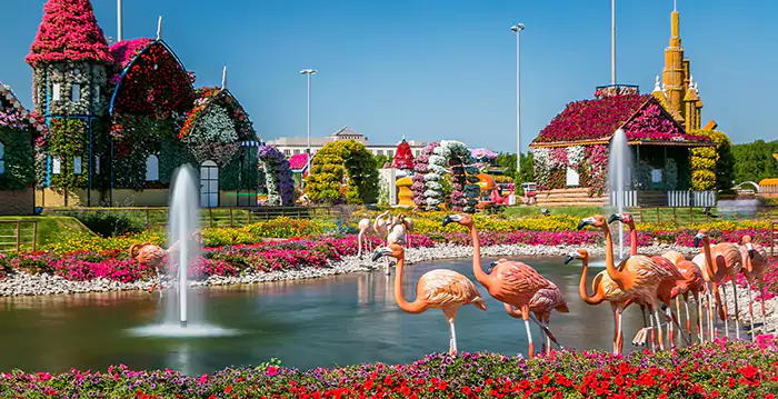 جاذبههای گردشگری منطقه البرشا دبی