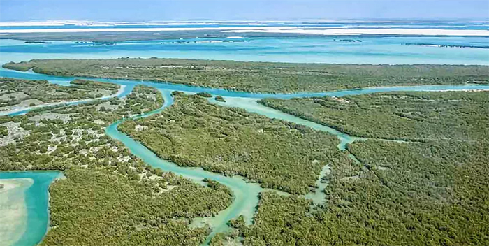 ابوظبی با جاذبههای متنوعی از پارک، طبیعت و کویر، گزینههای گردشگری بیشماری ارائه میدهد.